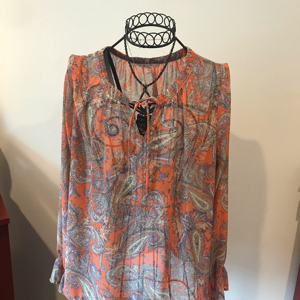 Skies are blue XL beautiful sheer paisley blouse